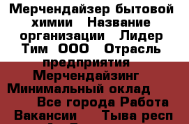 Мерчендайзер бытовой химии › Название организации ­ Лидер Тим, ООО › Отрасль предприятия ­ Мерчендайзинг › Минимальный оклад ­ 24 800 - Все города Работа » Вакансии   . Тыва респ.,Ак-Довурак г.